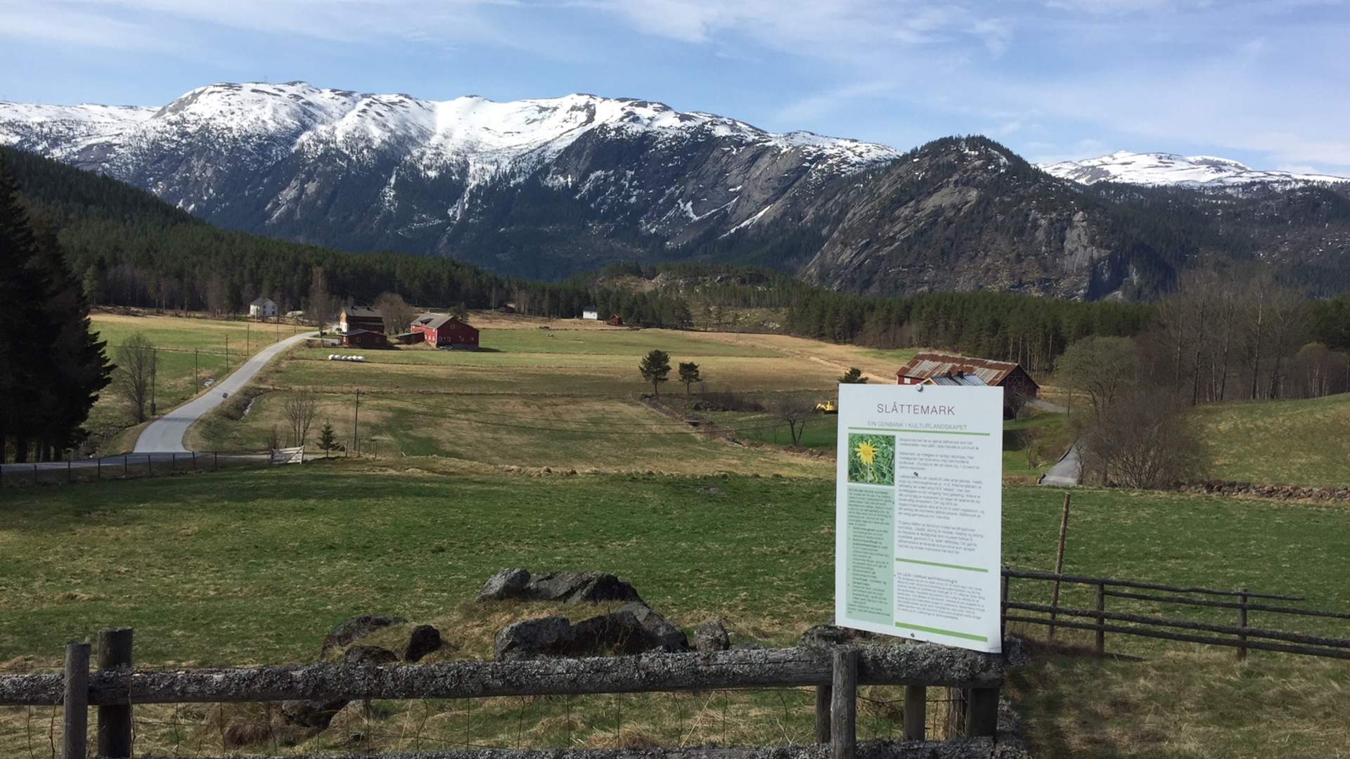 Rygnestad