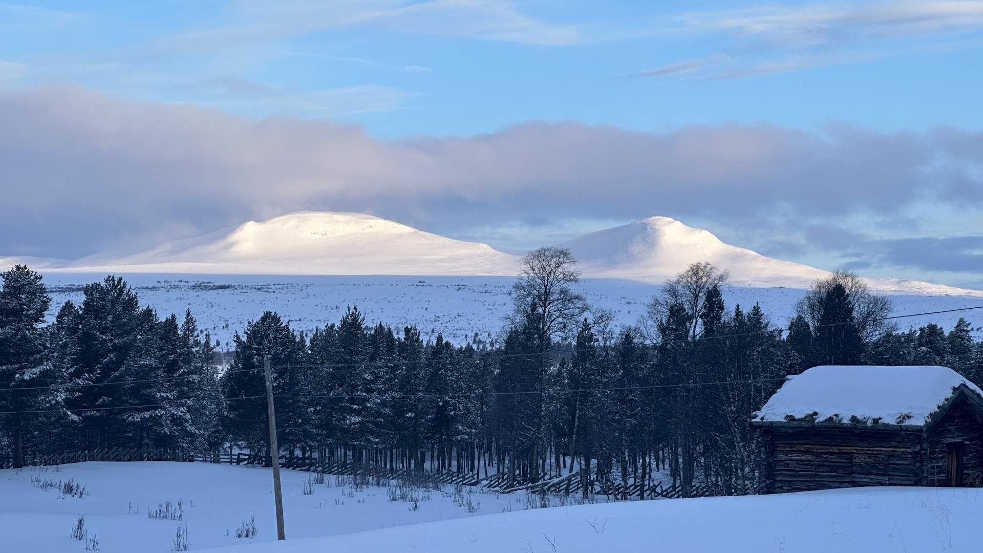 Blåtimen på Haugen
