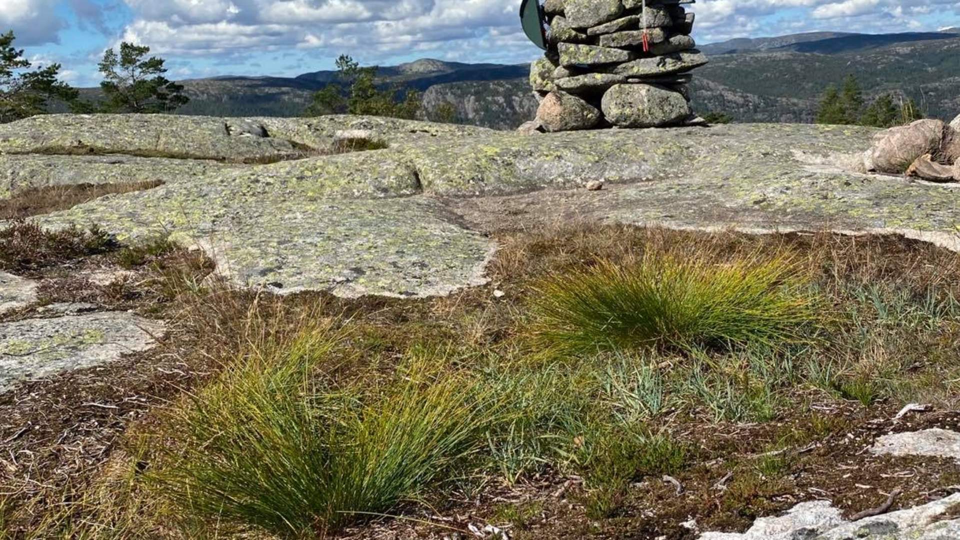 Ørnemyrfjellet