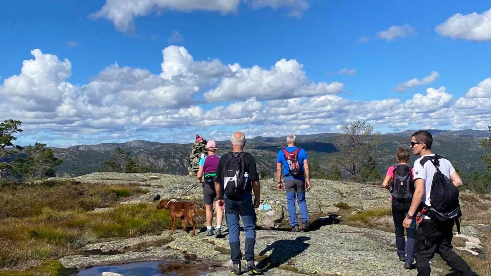 Ørnemyrfjellet