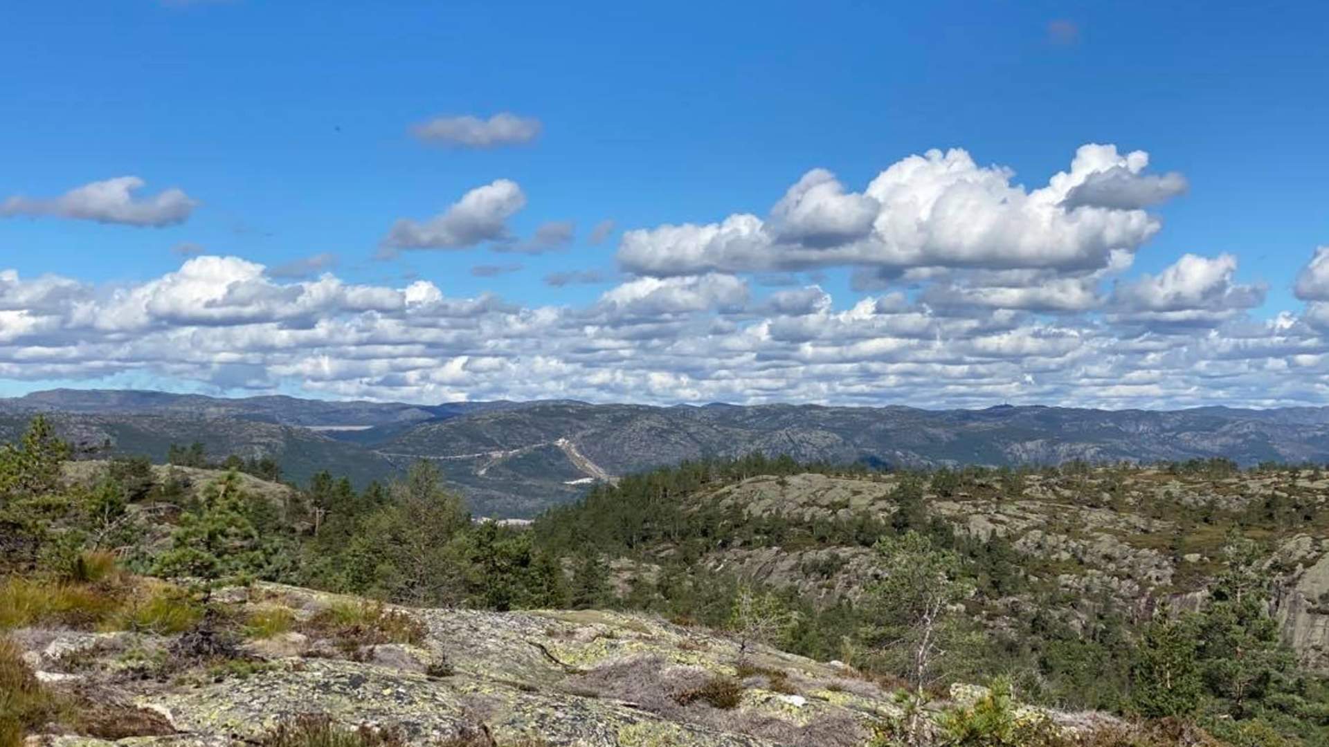 Ørnemyrfjellet