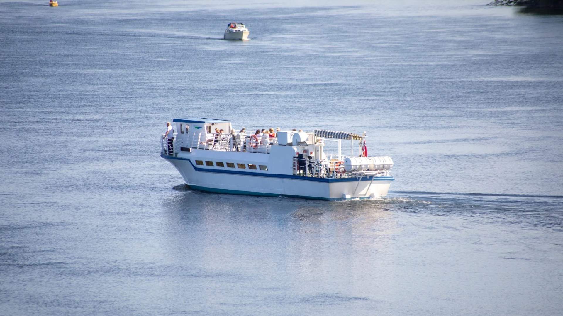 Elvekongen