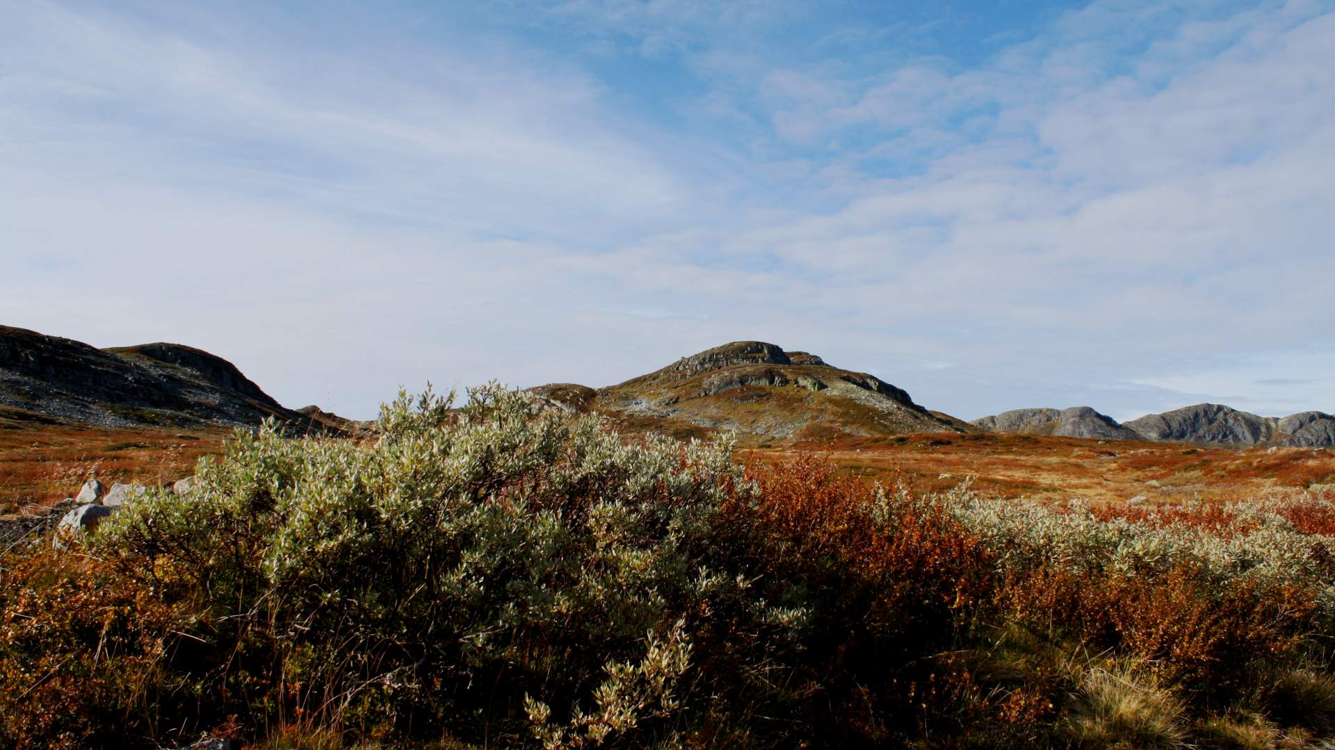 Støysskaret