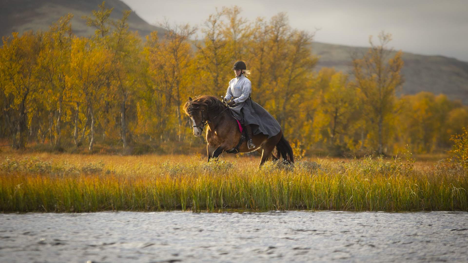 Horse and rider in autumn, Venabustallen