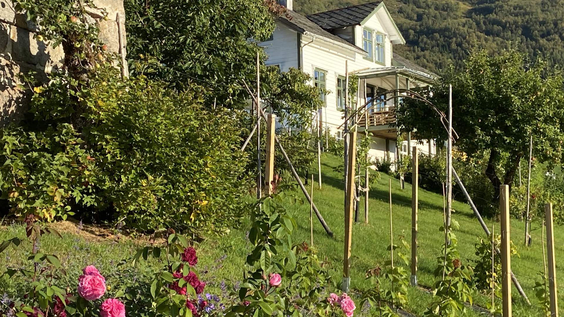 Larsgarden Tunhotell