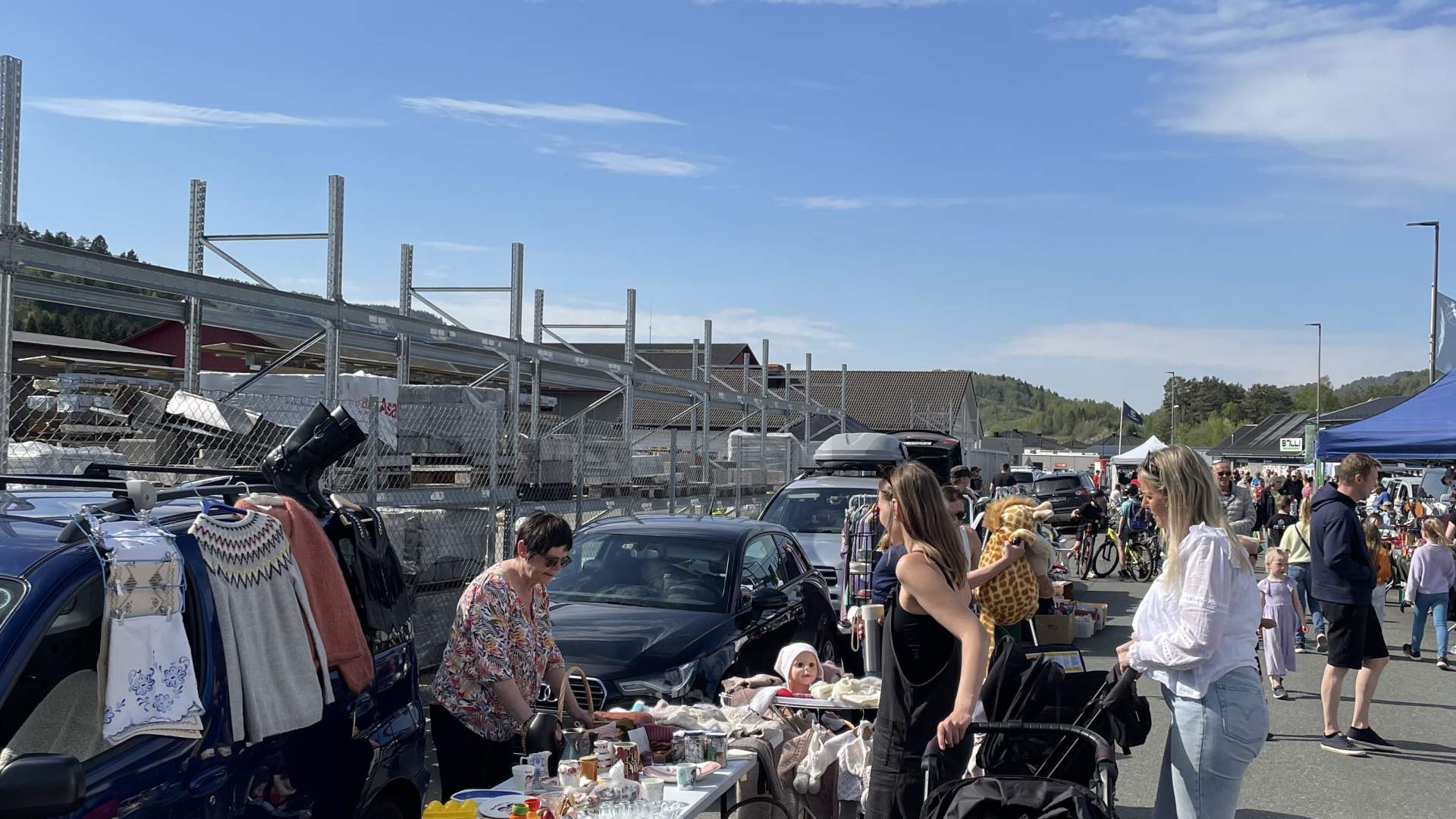 Vårslepp på Åmot