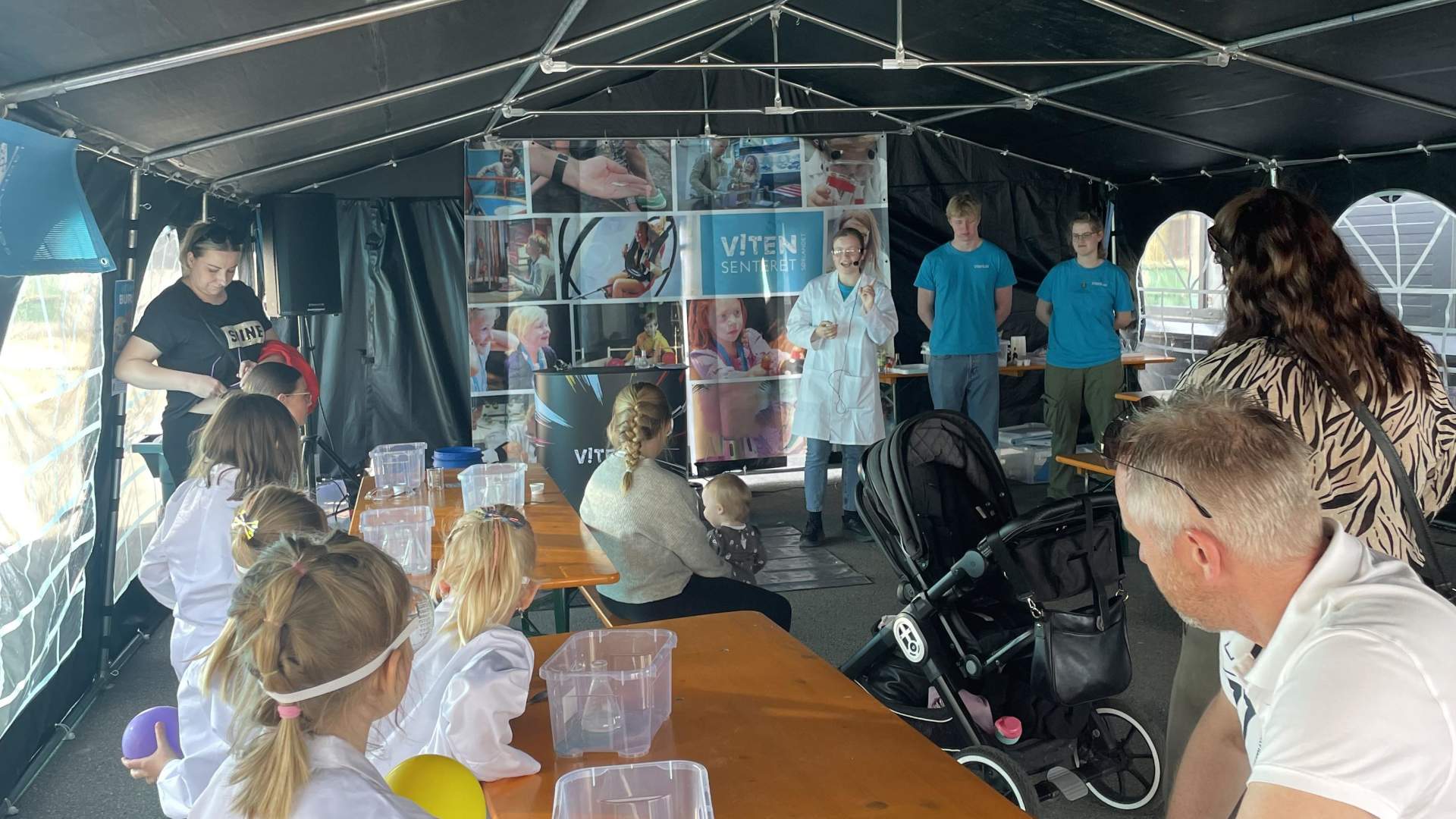 Vårslepp på Åmot