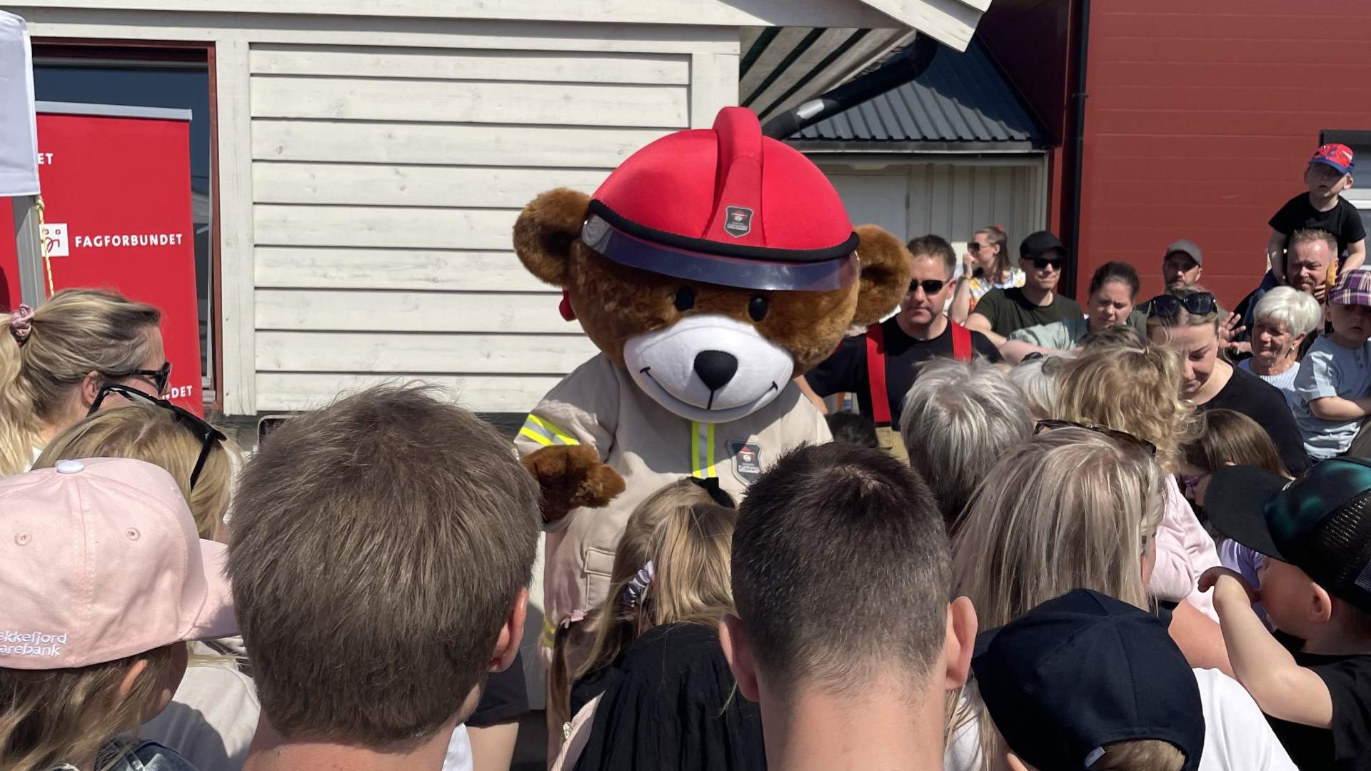 Vårslepp på Åmot