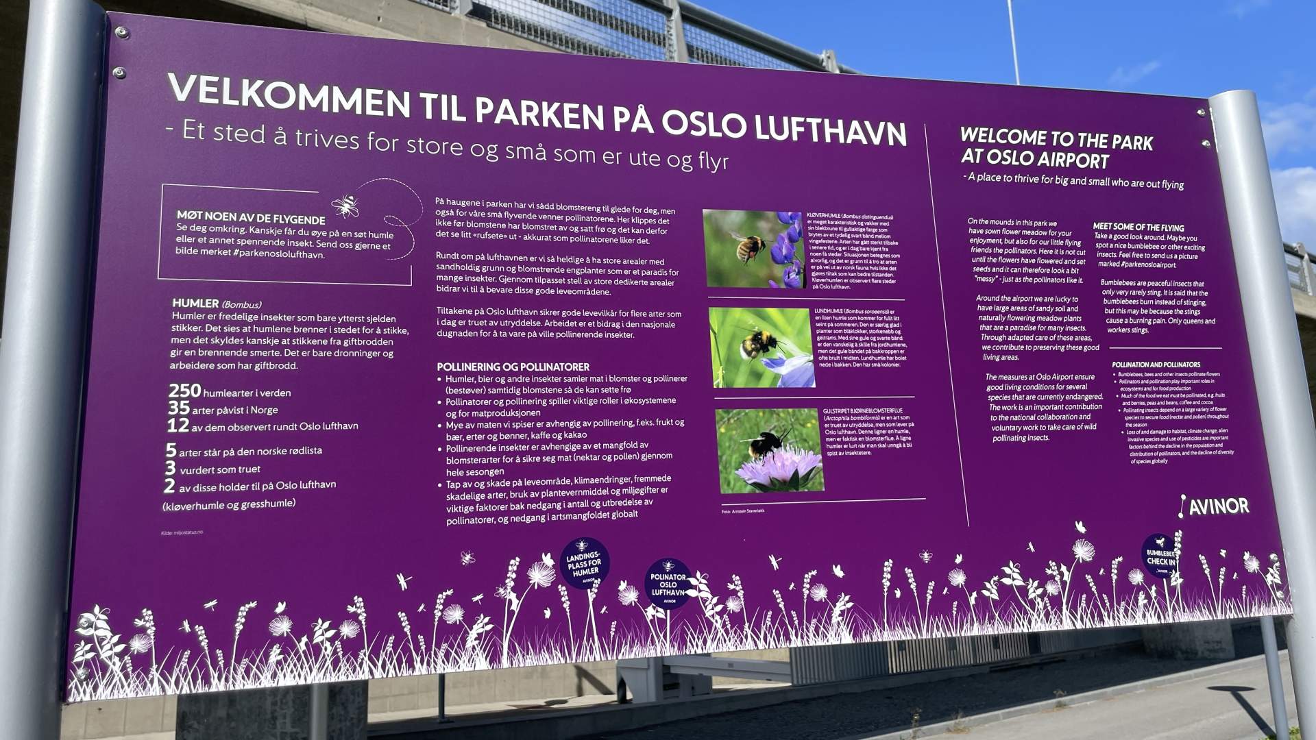 OSL
