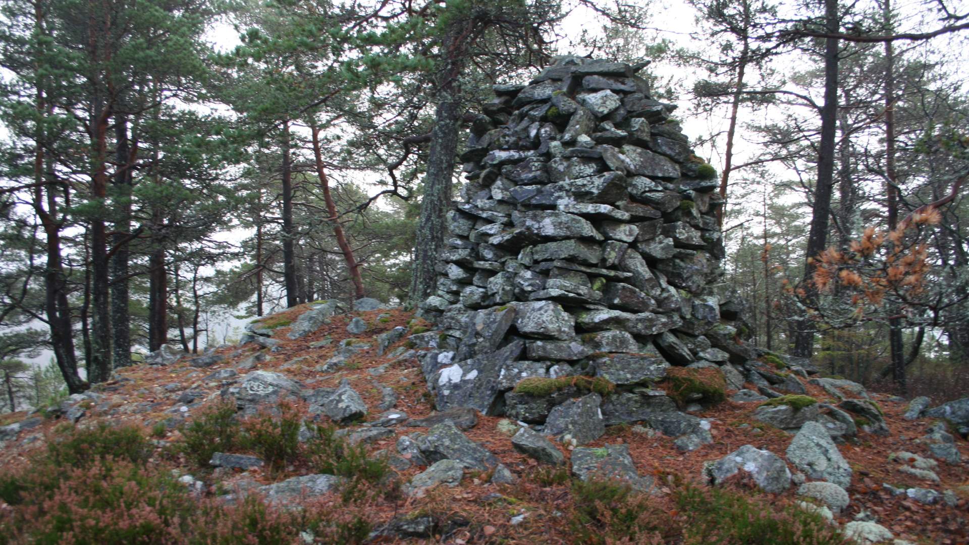 Skårsota, Skiptvet