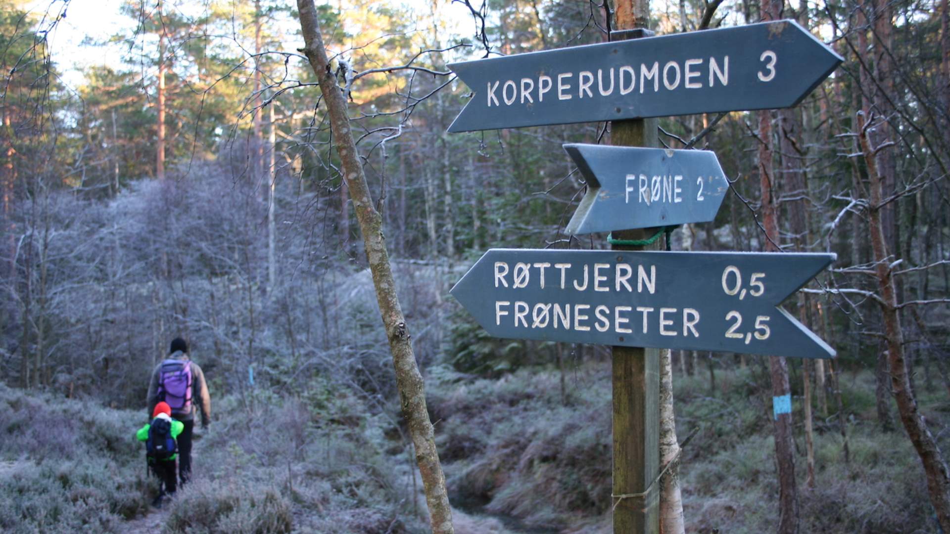 Turperler: Frønessjøen - Røttjern
