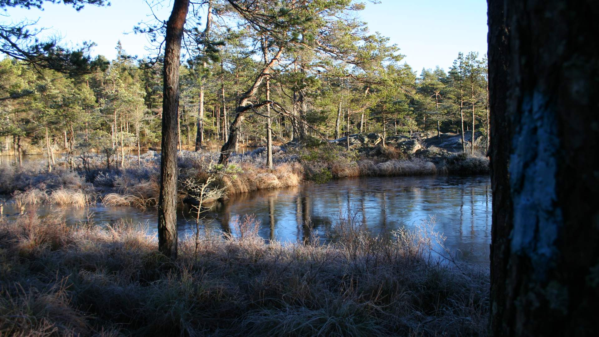 Turperler: Frønessjøen - Røttjern