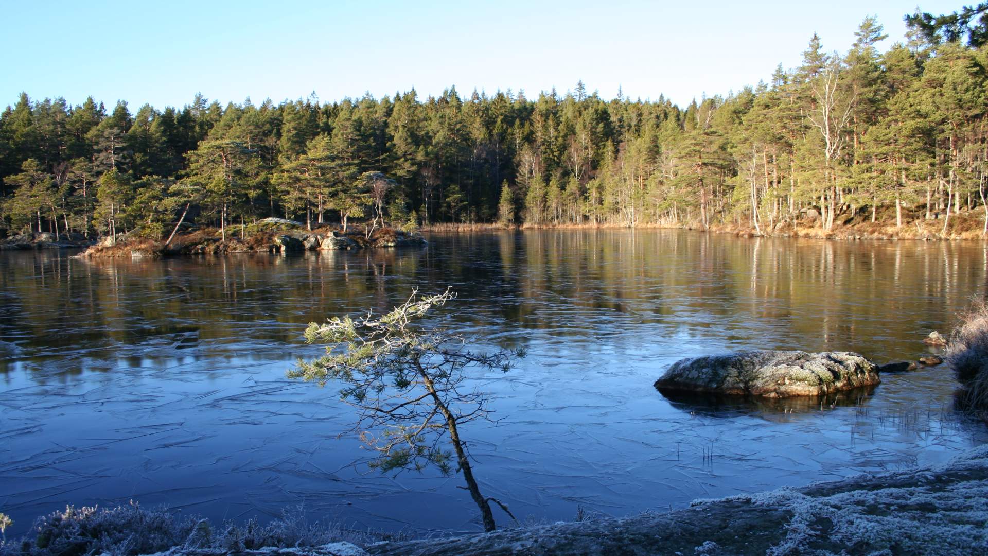 Turperler: Frønessjøen - Røttjern