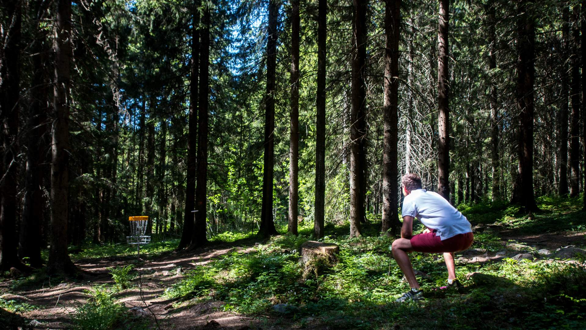 Frisbeegolf i Gjøvik - Anlegget på Øverby 7