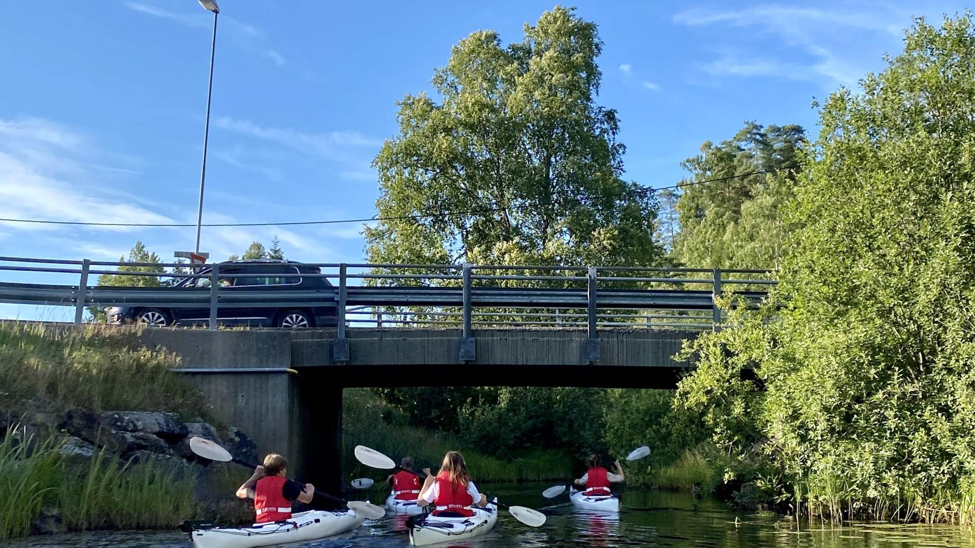 Wild Oslo