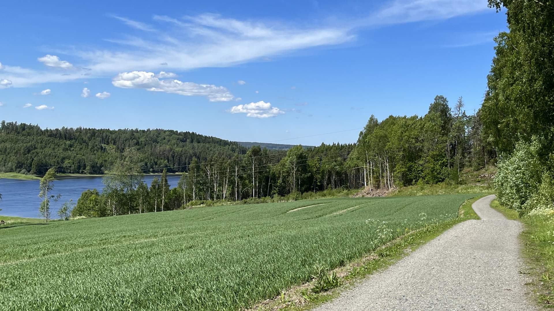 Solbergfosslinna