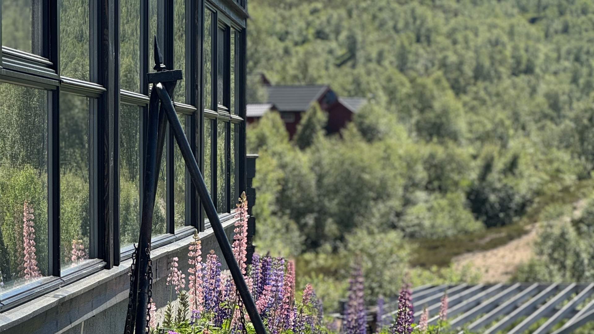Sirdal høyfjellshotell restaurant