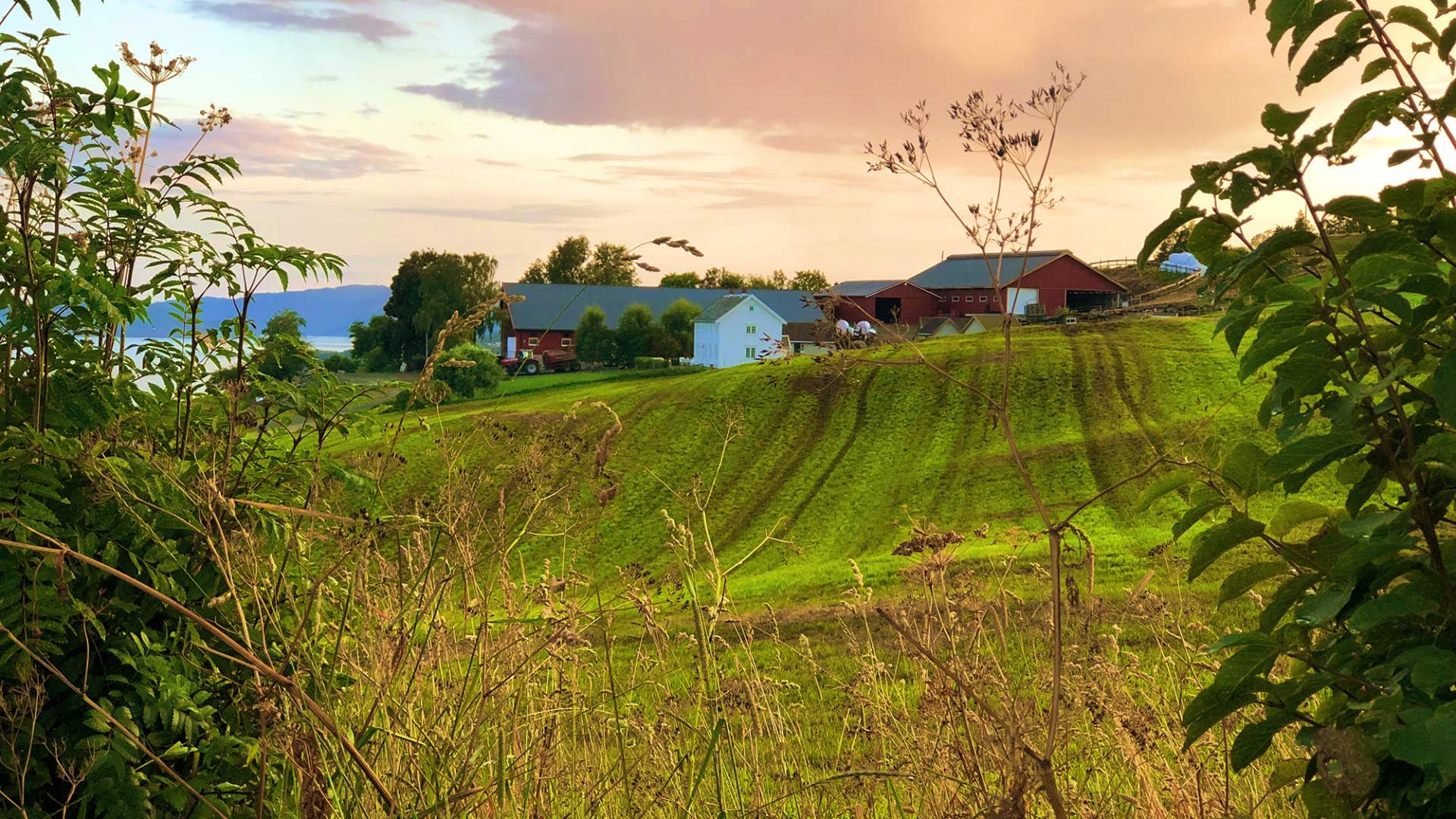 Inderøy Husfrua fra Øyna Foto Visit Innherred (8a) WEB