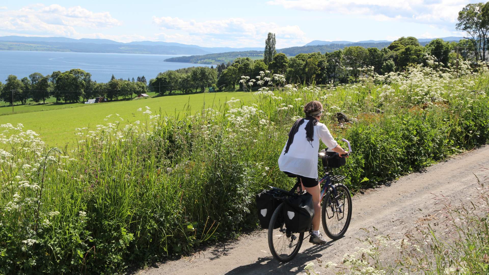 Infoteket Sykling på Nes & Helgøya (Øyvind Wold)