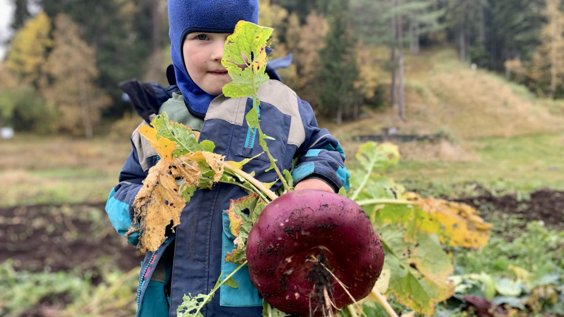 Innhausting Eidsborg 2021 (49)