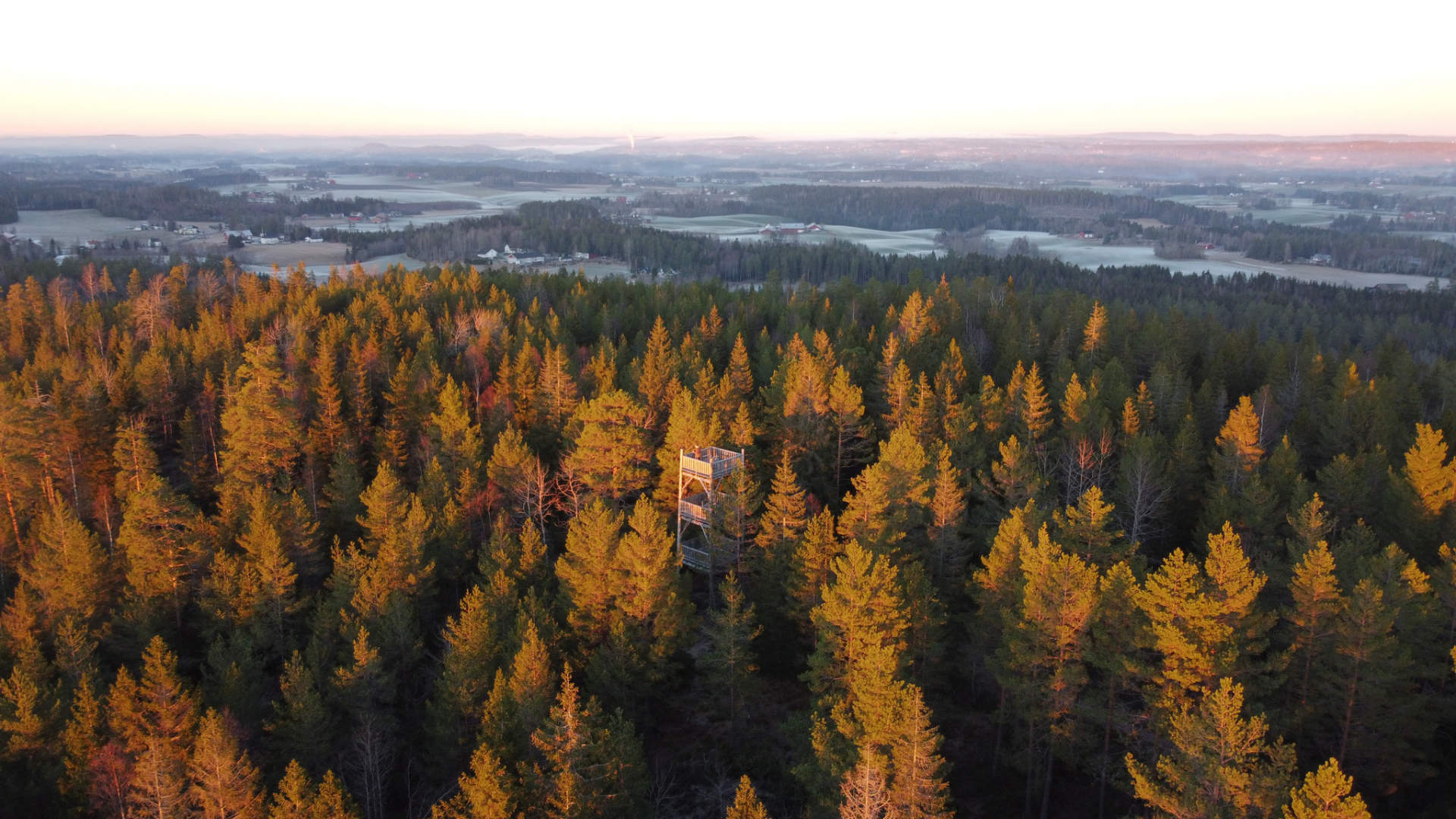 Jonsrudåsen_Vardåsen5_jon Ivar Øren