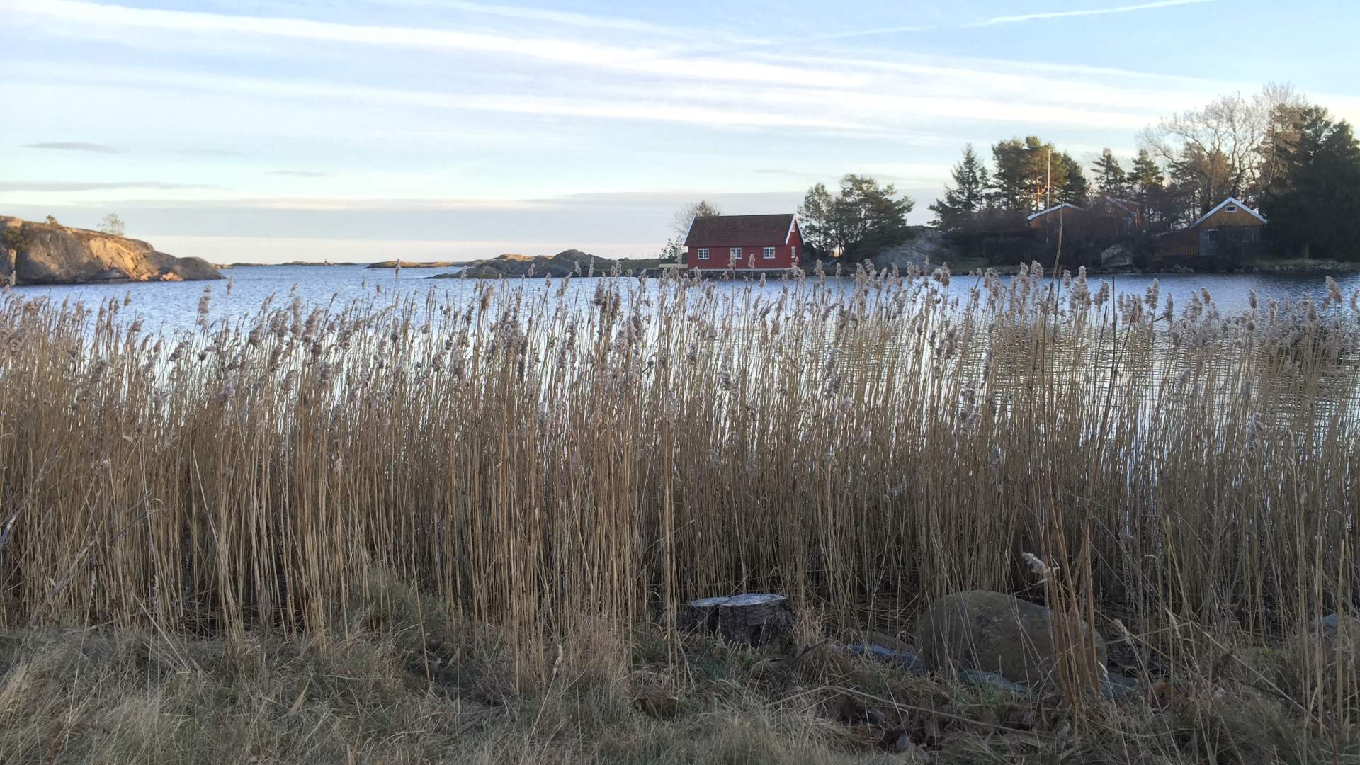 Hasseltangen, Fevik
