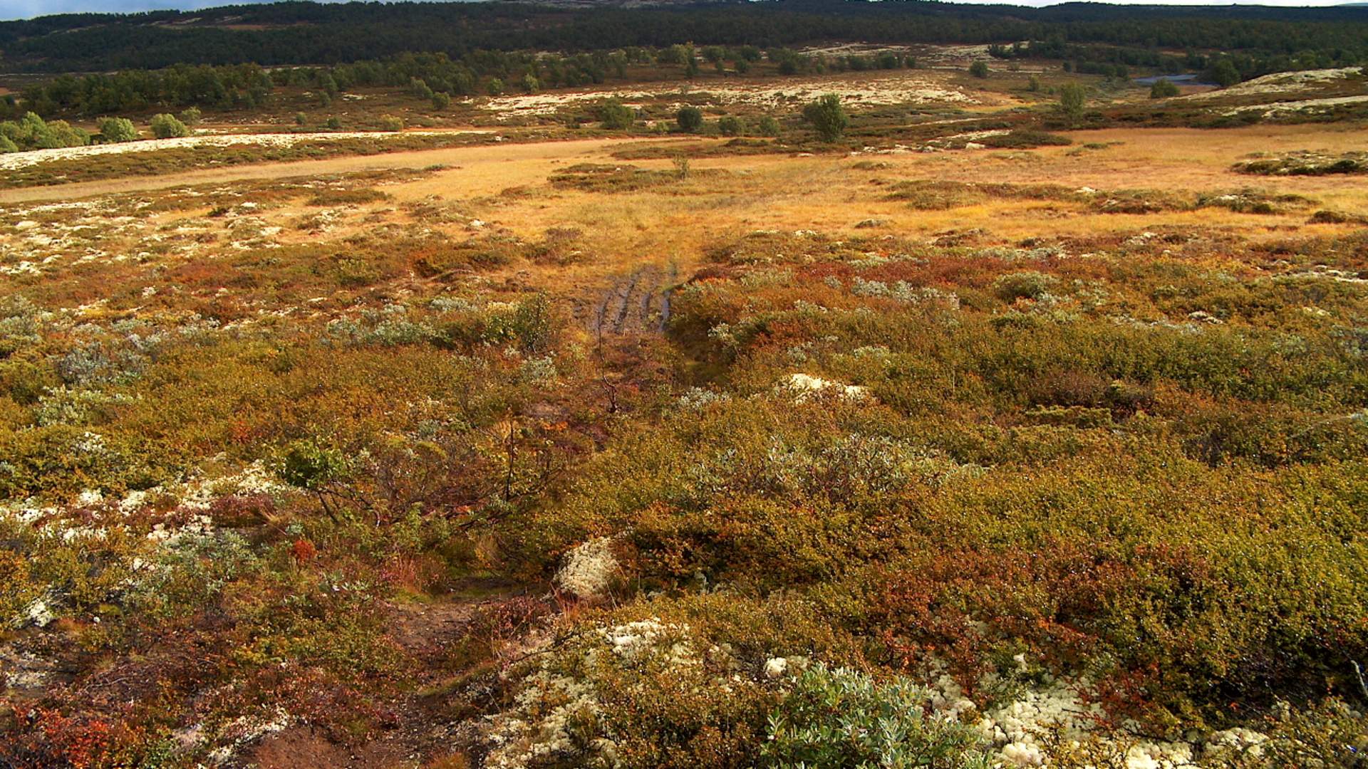Knutshø landskap 2