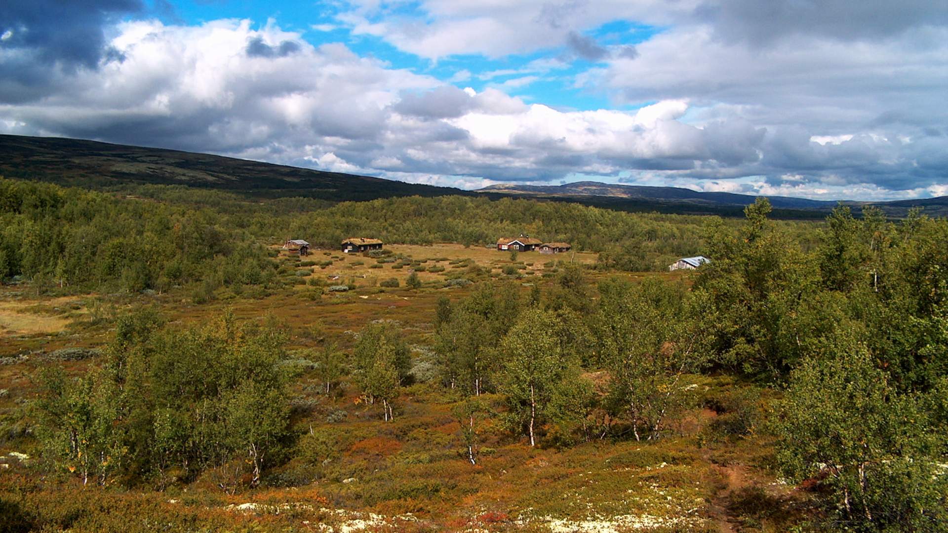 Knutshø landskap