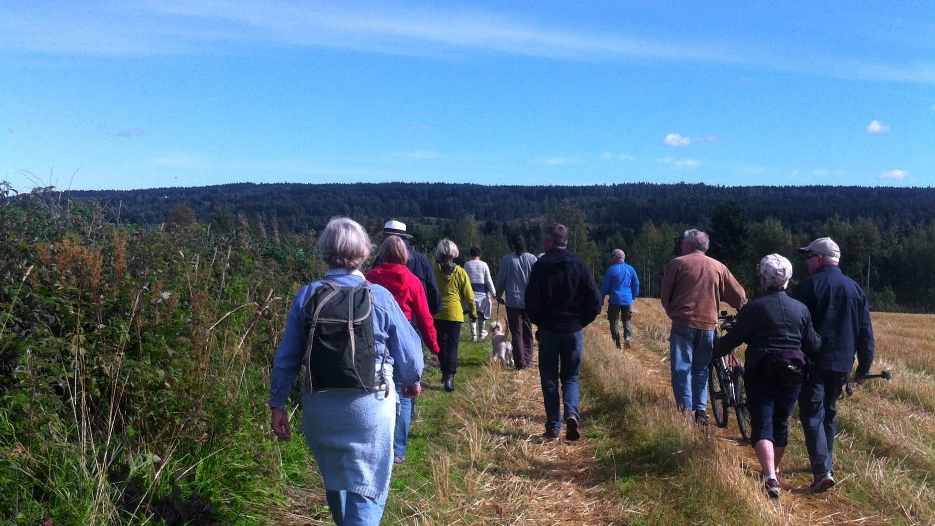 Kolbu - Vandring langs pilegrimsleden