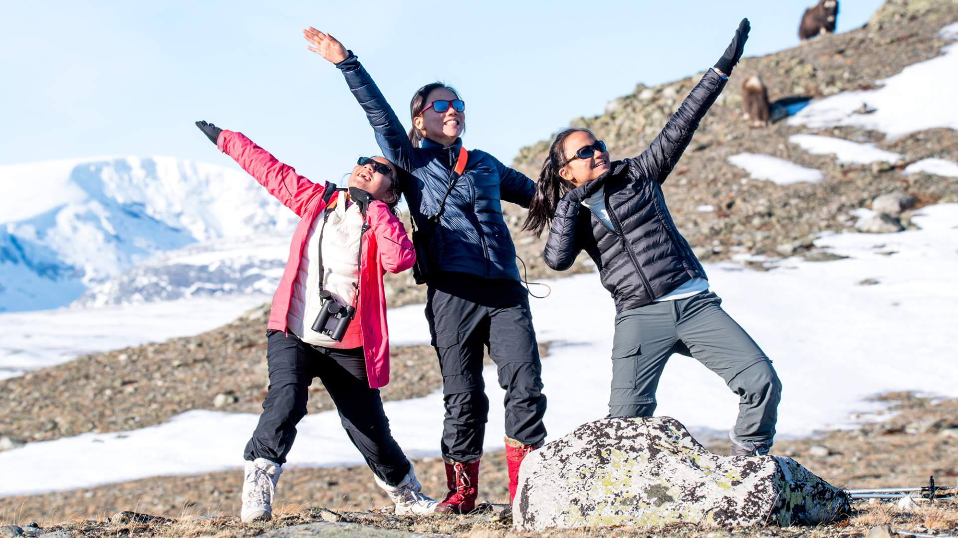 Kopi av DSC_5057_nett