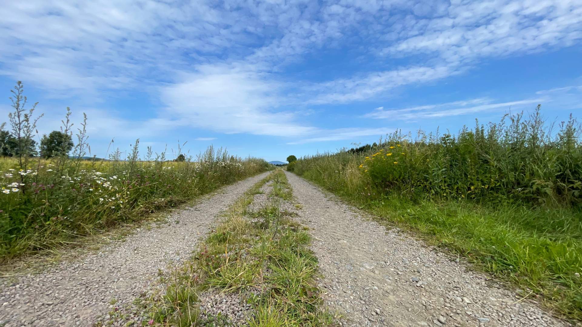 Koselig grusvei ved Elstad