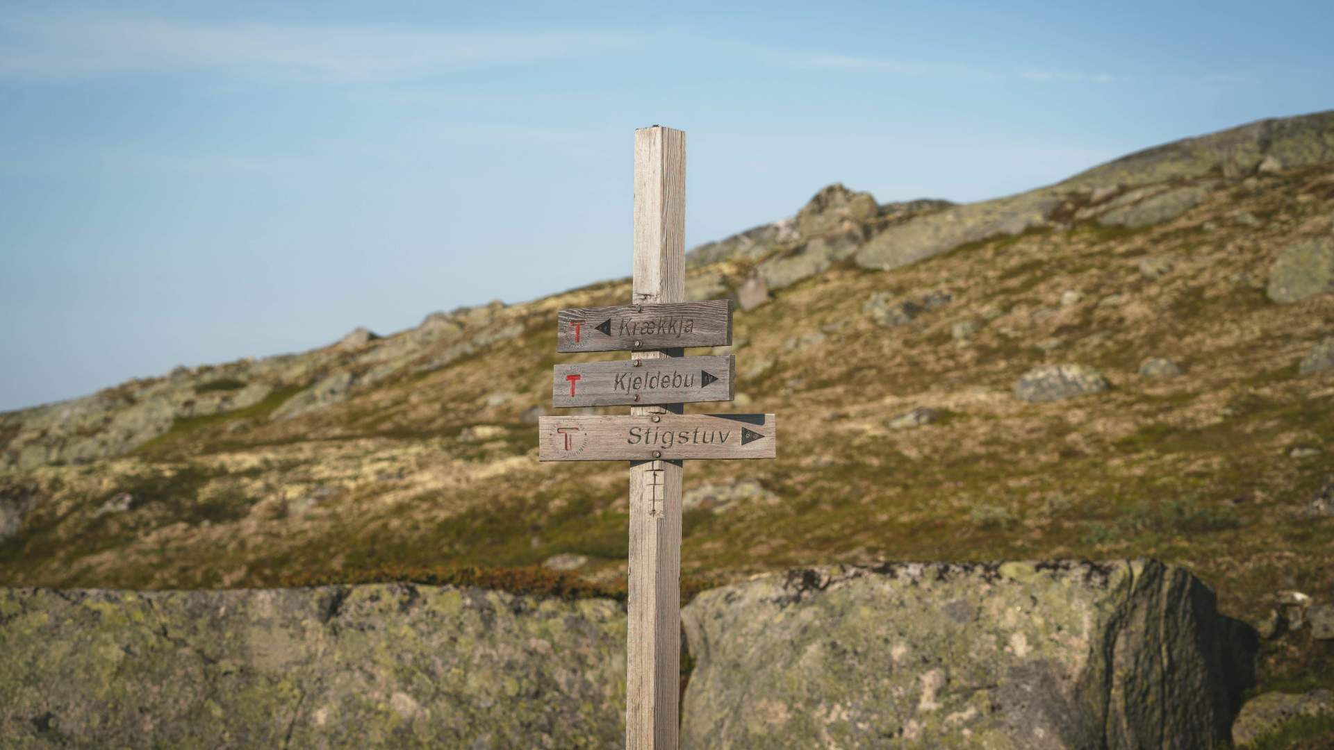 Krækkja juli 25 av Heidi Kvamsdal 10