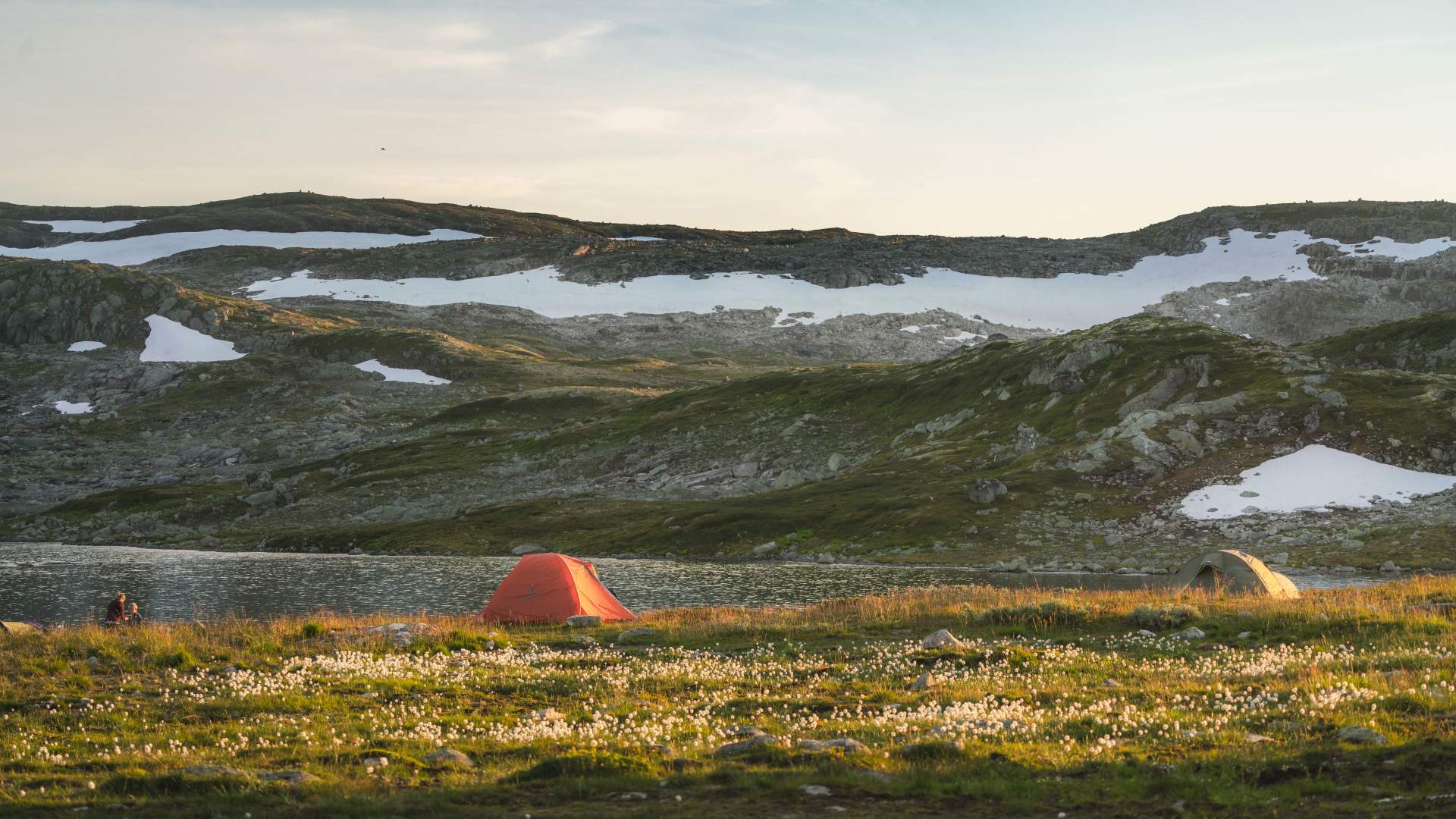 Krækkja juli 25 av Heidi Kvamsdal 12
