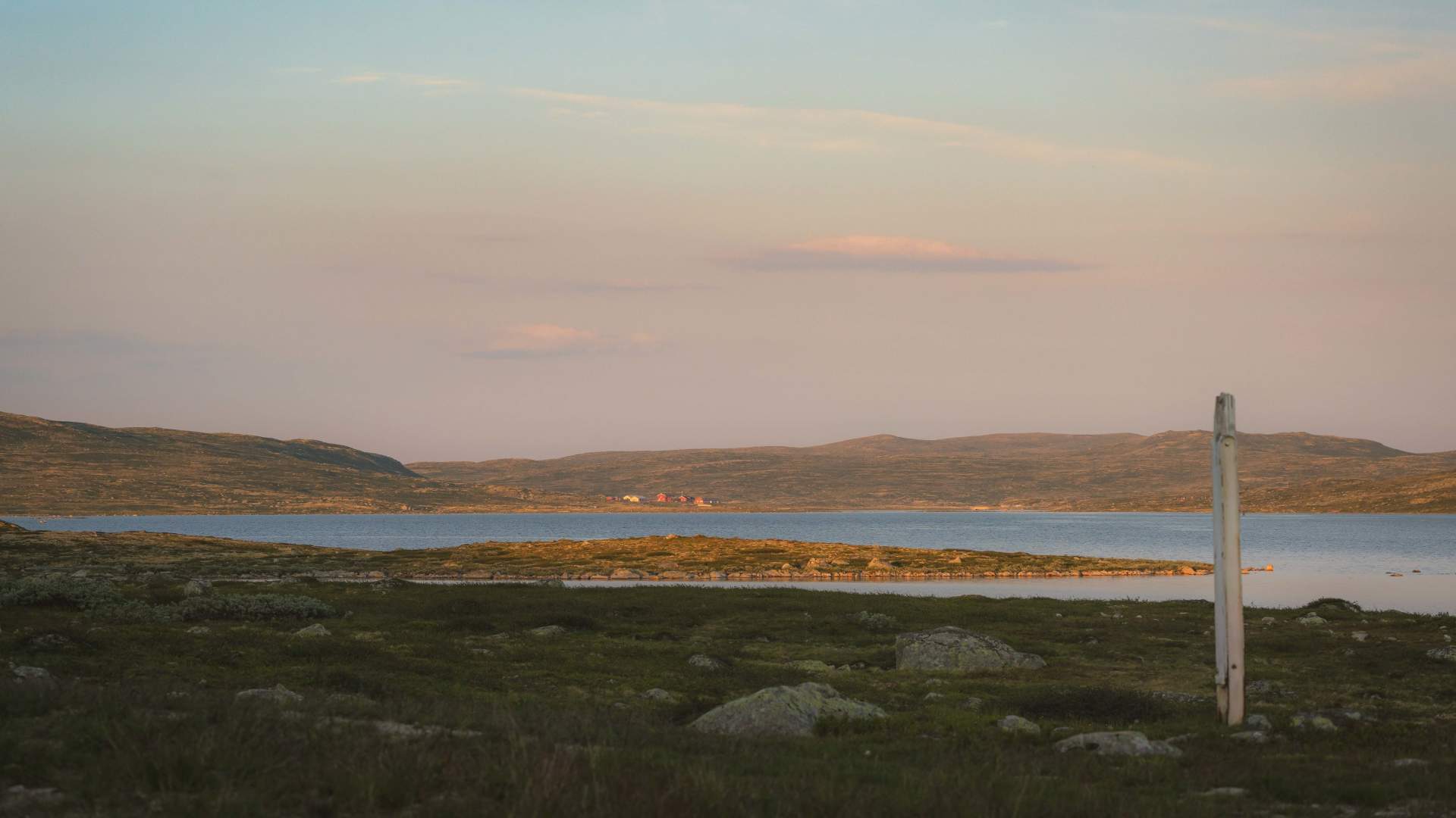 Krækkja juli 25 av Heidi Kvamsdal 14