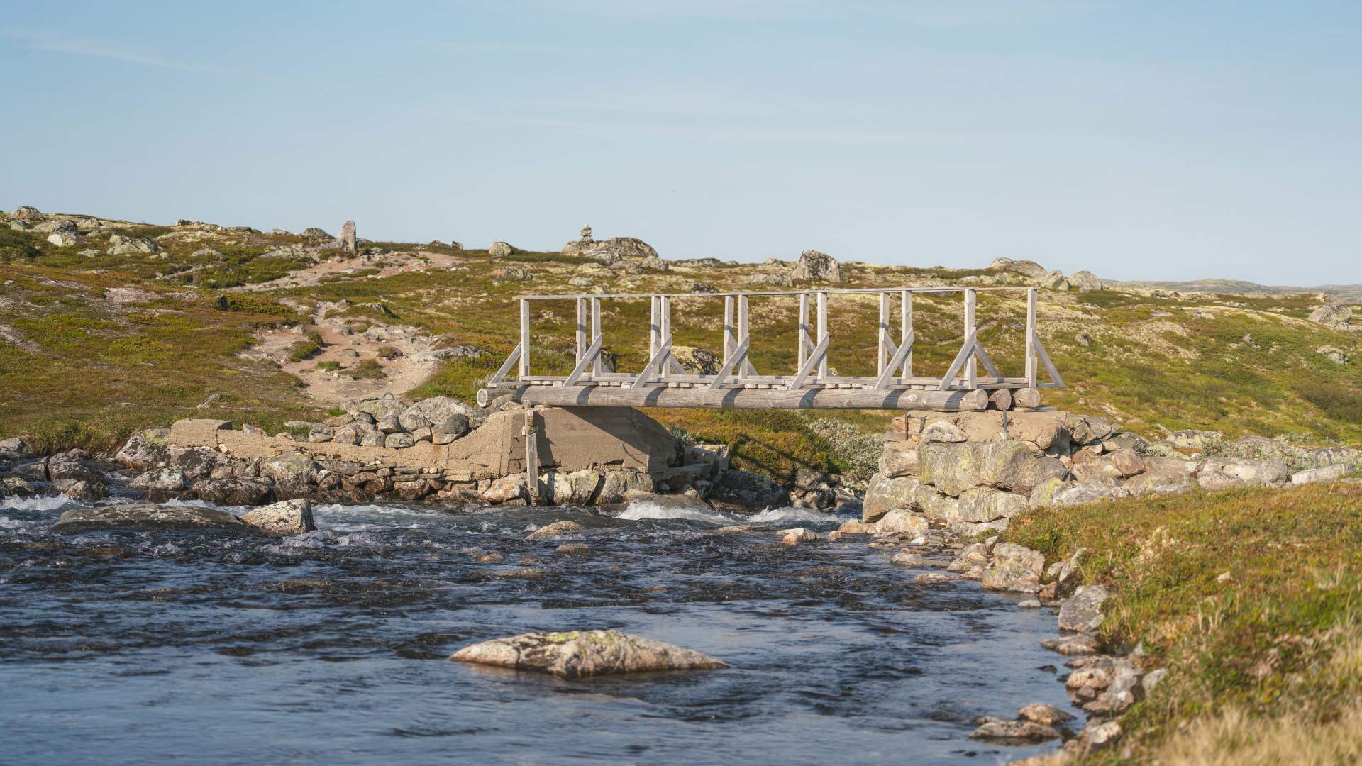 Krækkja juli 25 av Heidi Kvamsdal 7