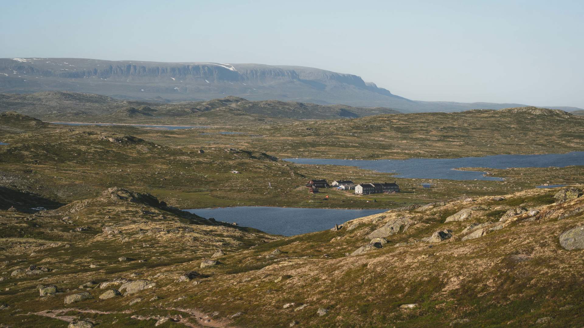 Krækkja juli 25 av Heidi Kvamsdal 8