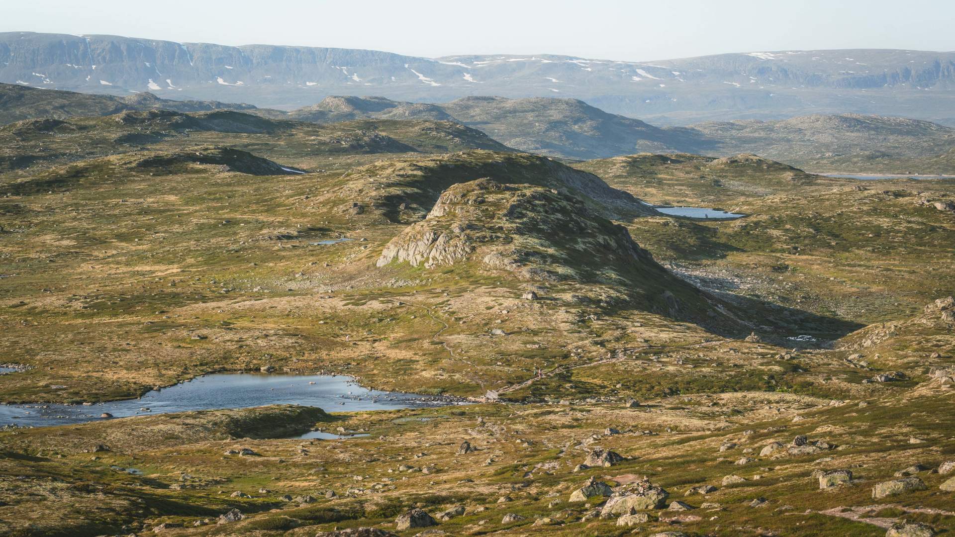 Krækkja juli 25 av Heidi Kvamsdal 9
