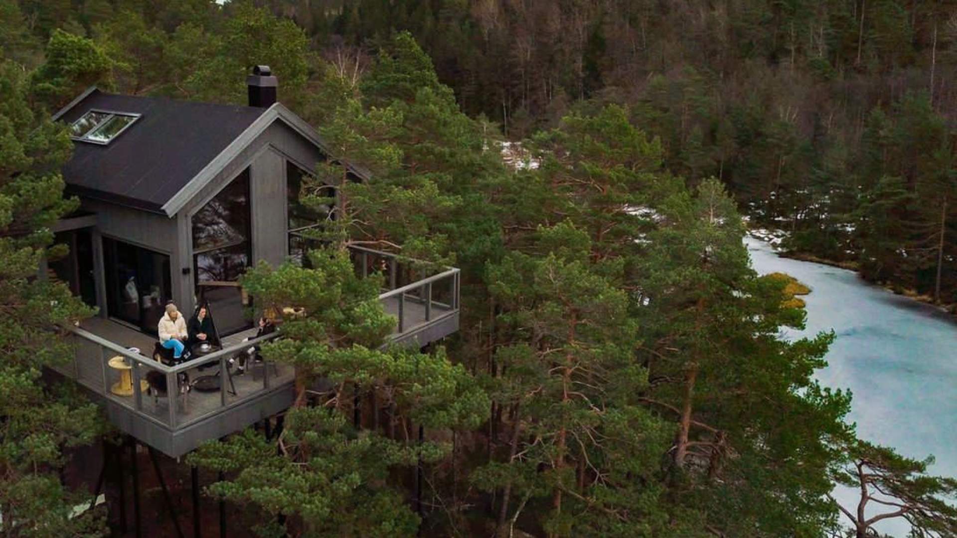 Kristiansand Tretopphytter