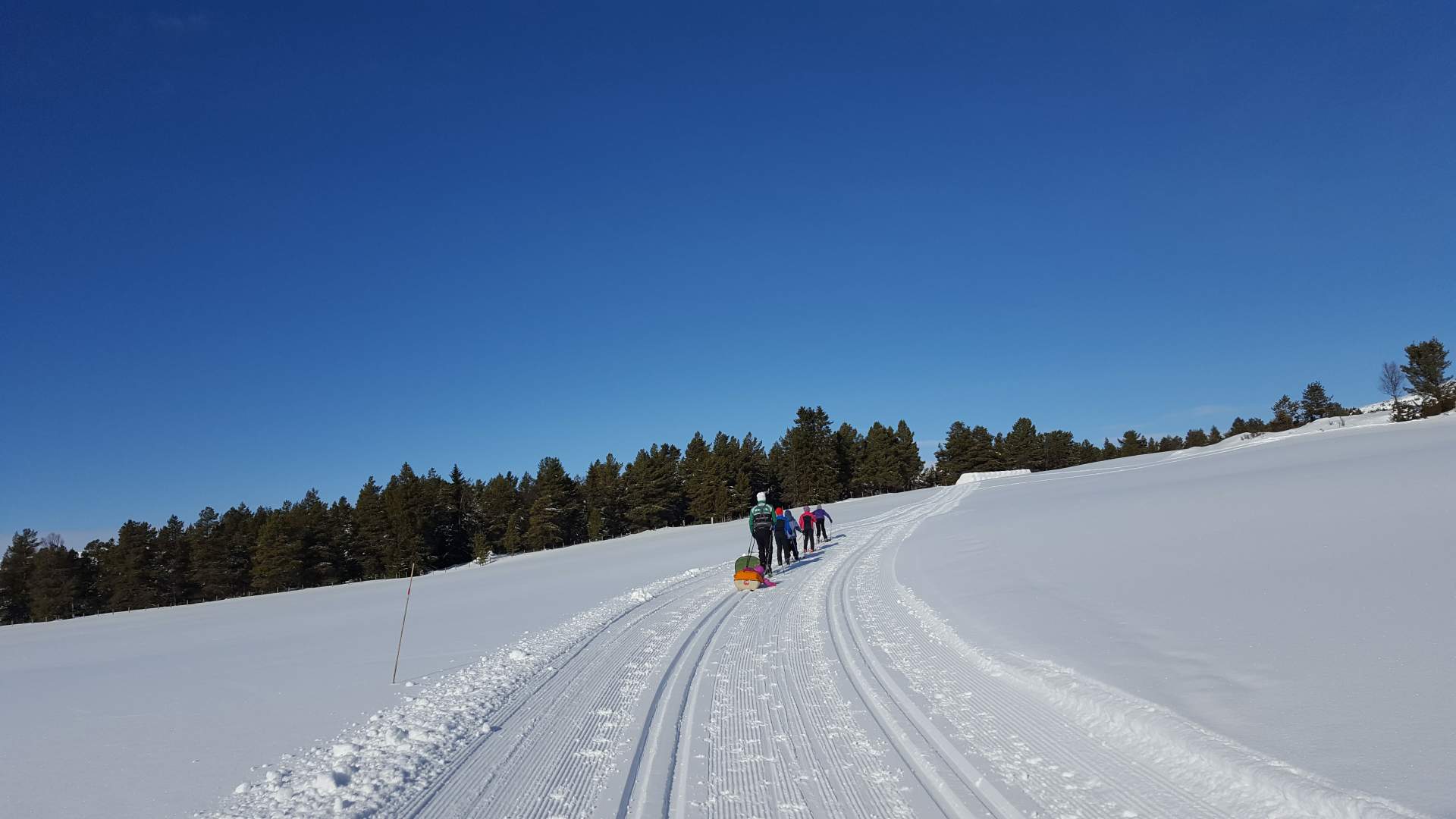 Kvamsfjellet_Foto Anette Lunde (5)