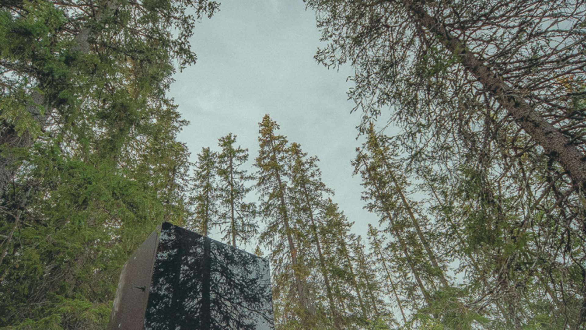 LIG_9724-Edit