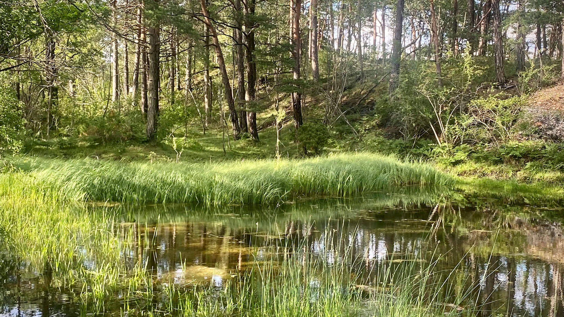 Ta koggen til Langøya landskapsvernområde