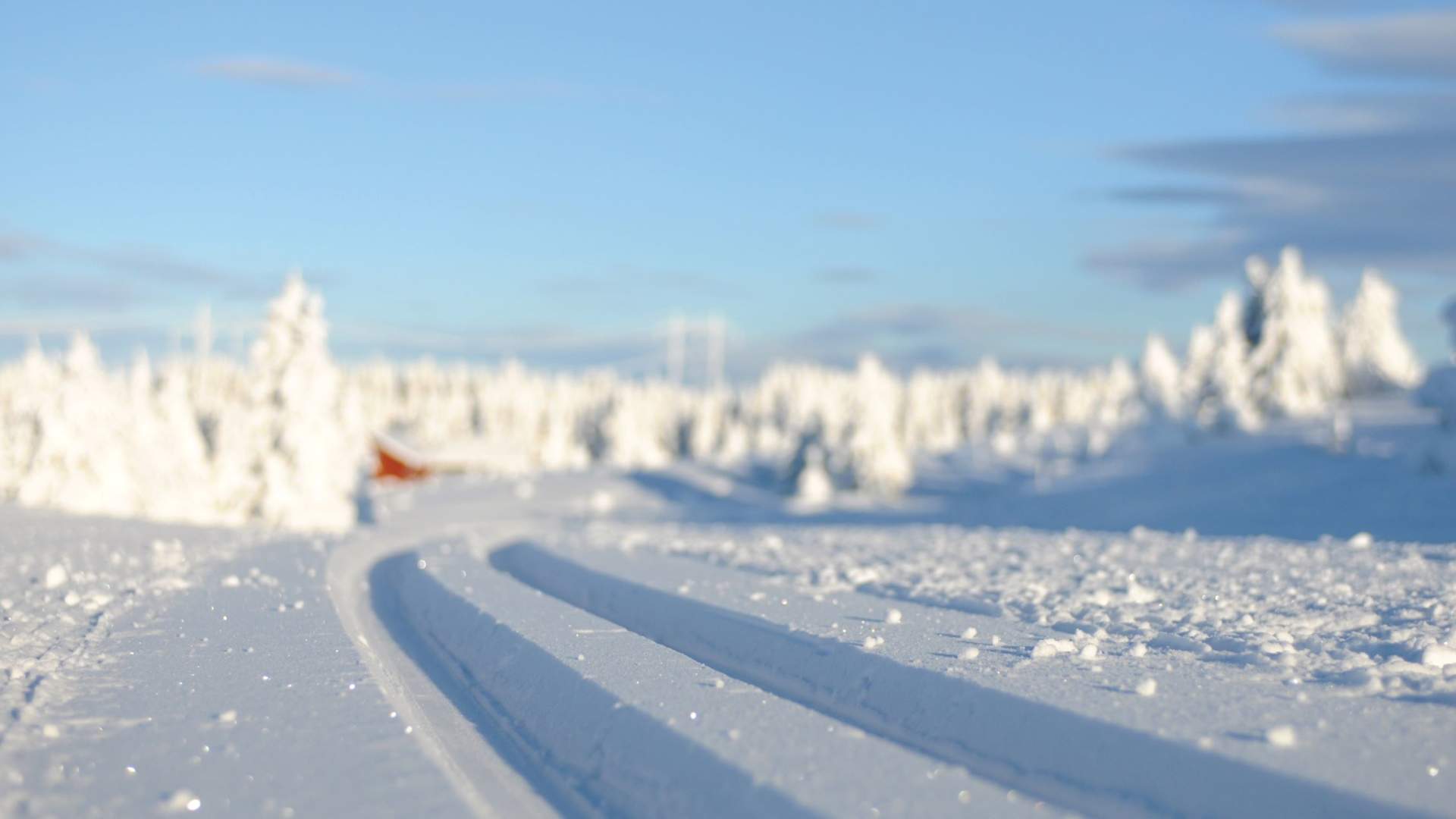 The finest cross-country skiing trails