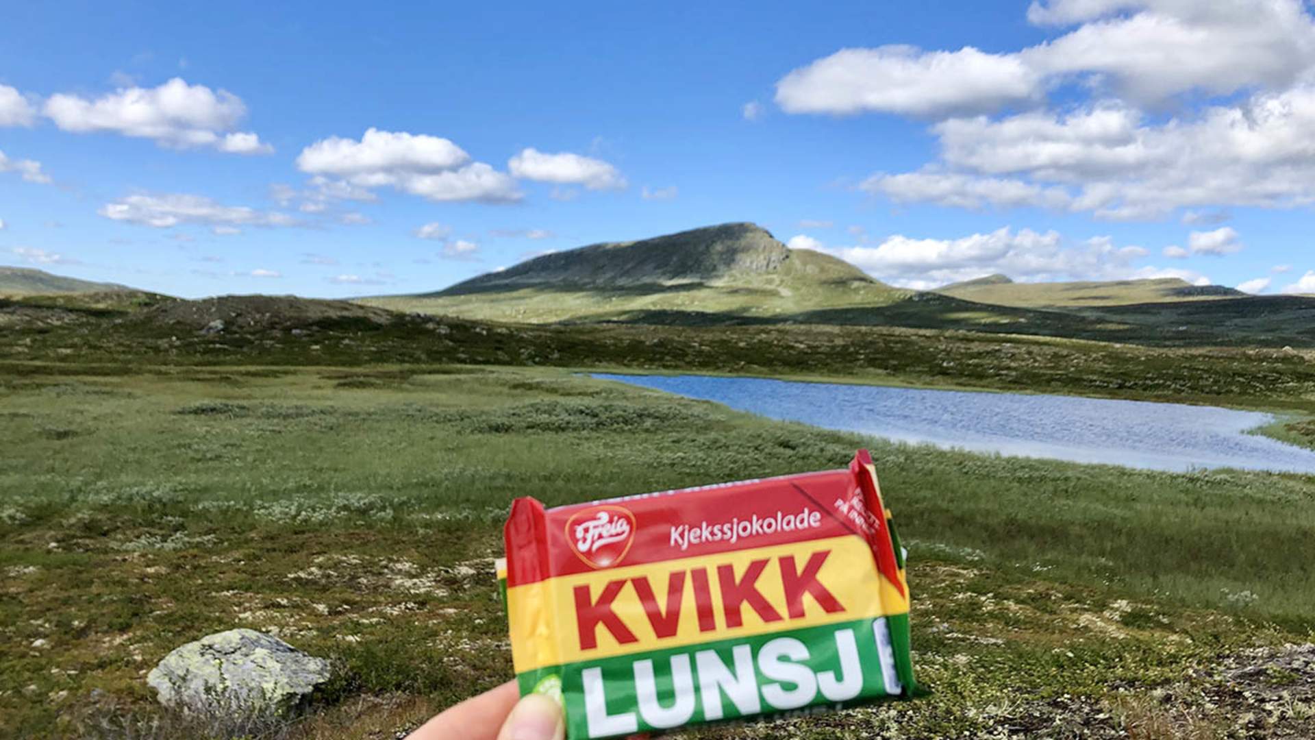 Langsua