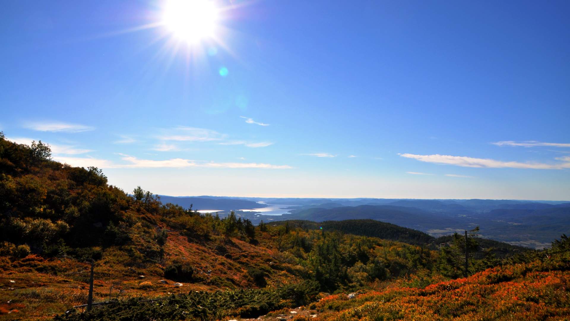 Fra Glexefjell på Lifjell, 1120 moh.
