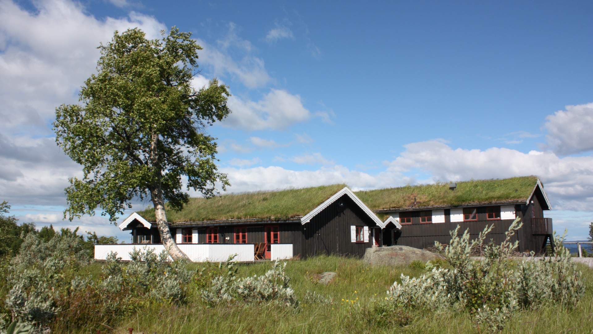 Lifjellstua