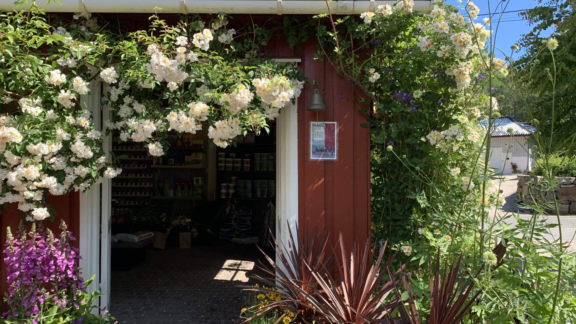 Lundbergs Planteskole