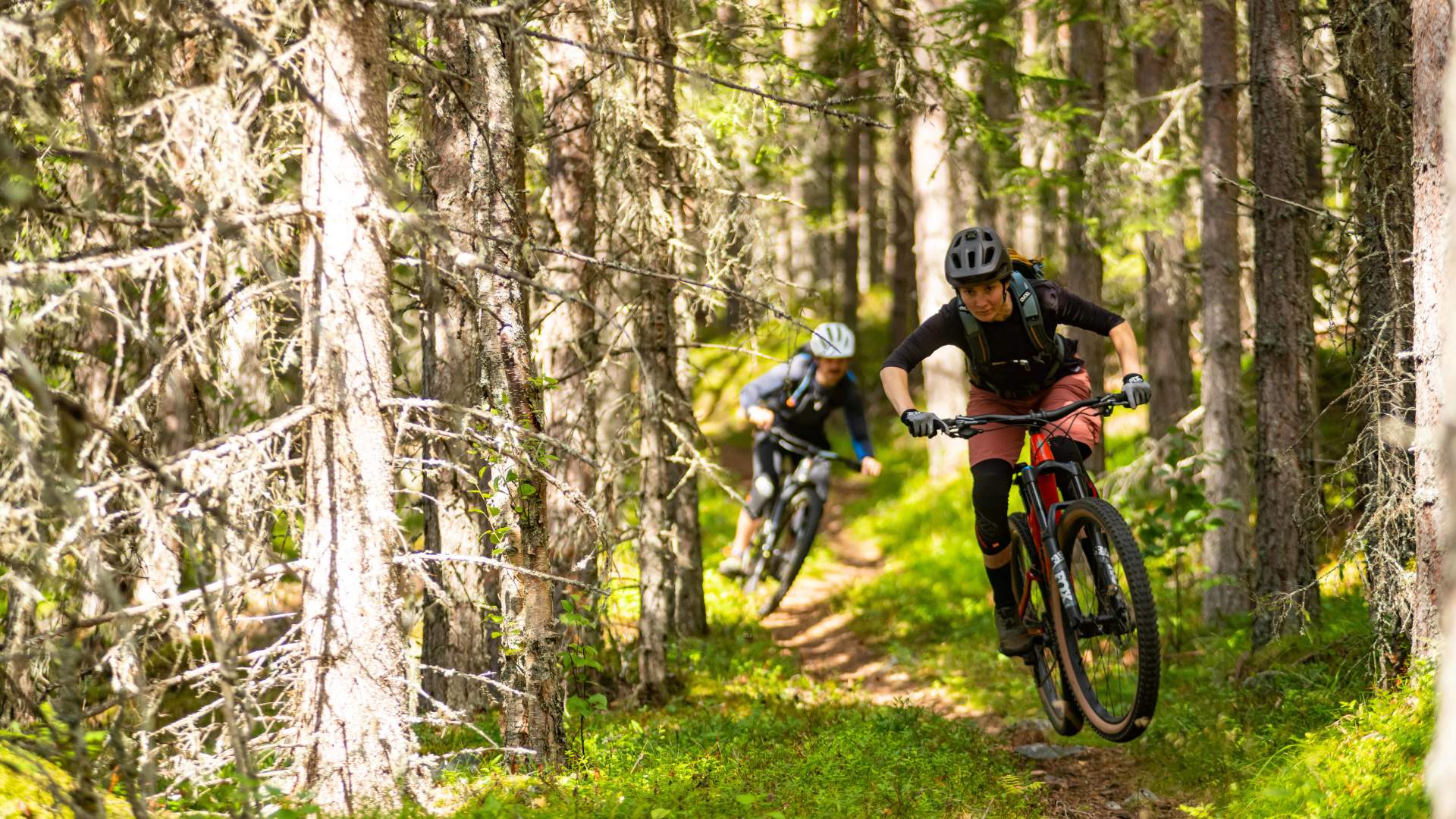 MTB riding in Nesbyen, Hallingdal
