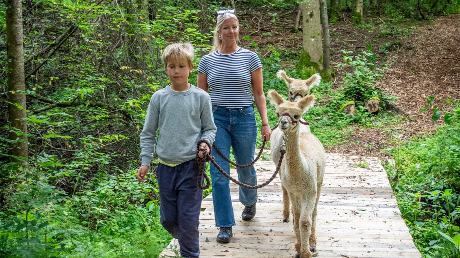 Mønnerød Alpakka_2023_Foto_MK-21_web