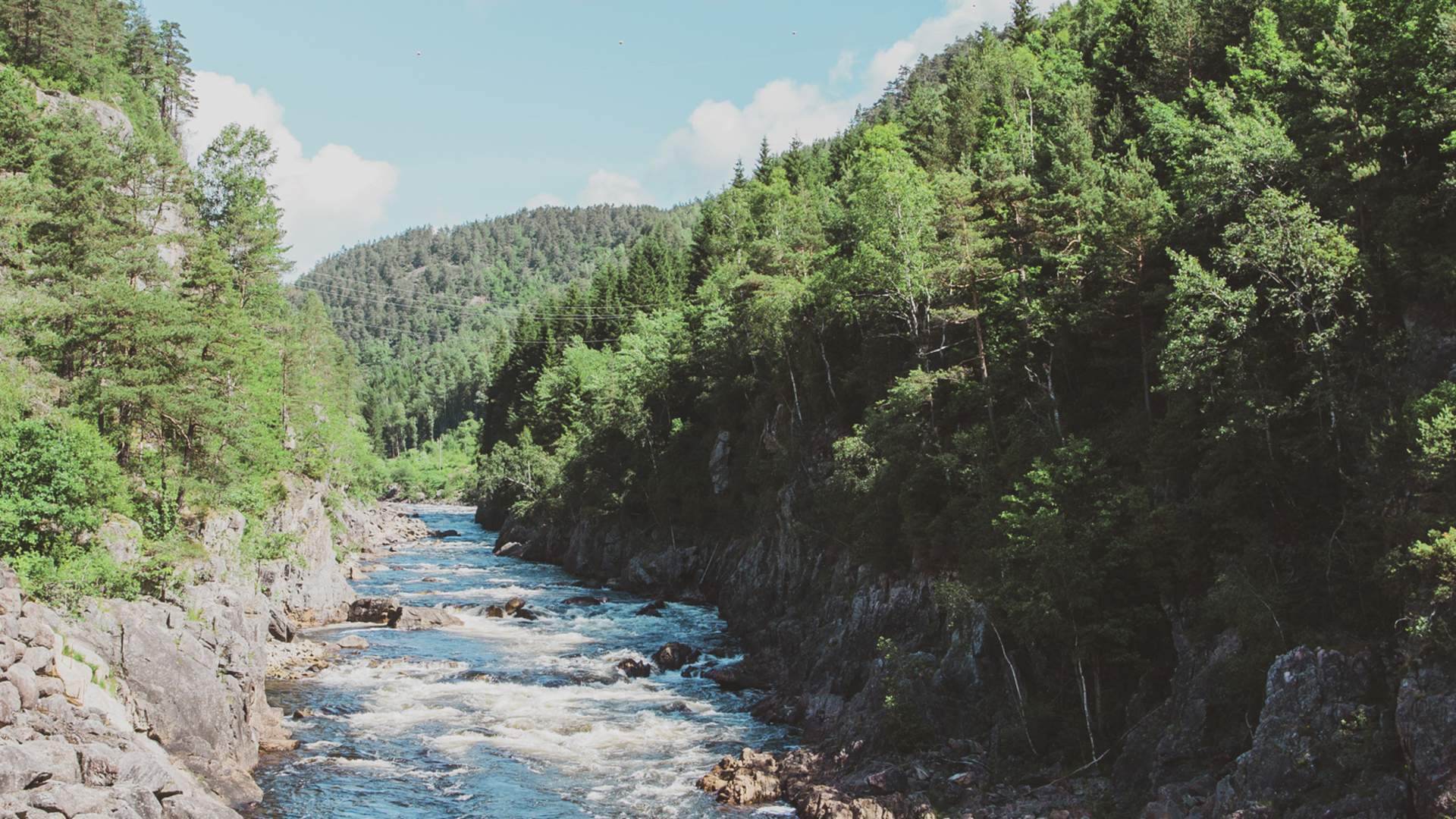 Mandalselva_LIN_01105_Foto_Iselinn_Andersen