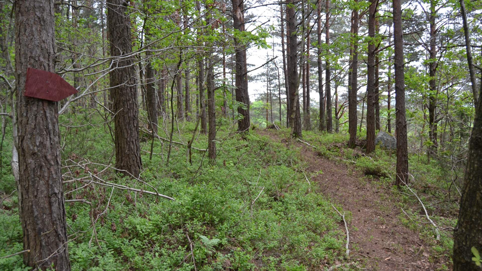 Merkepil Fjæreheia Bibelsti